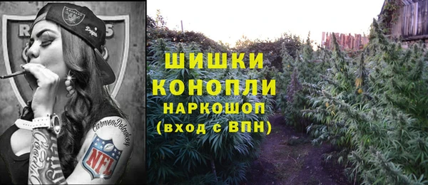 прущий лед Арсеньев