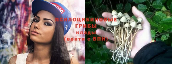 прущий лед Арсеньев