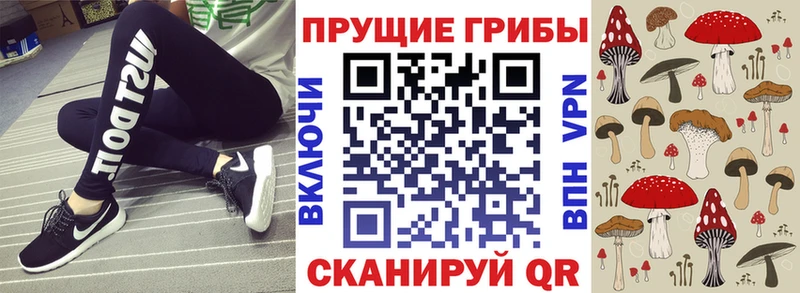 Псилоцибиновые грибы Psilocybine cubensis гидра как войти Темрюк